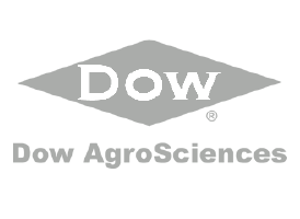 Dow